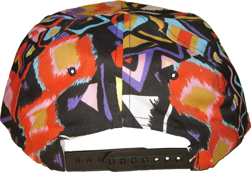 Sinbad back snapback